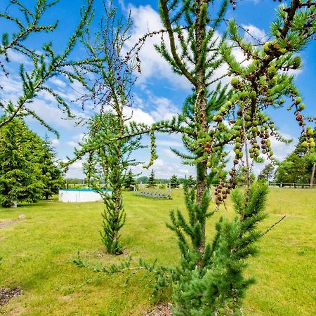 Pension Zum Reiterhof Schmogrow 外观 照片